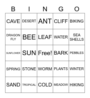 Wilderness Explorers Bingo Card