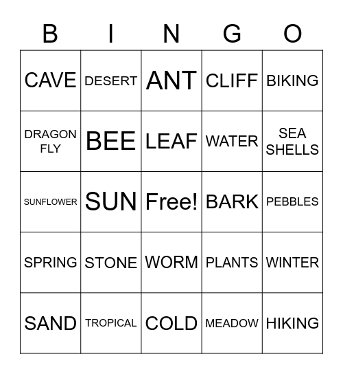 Wilderness Explorers Bingo Card