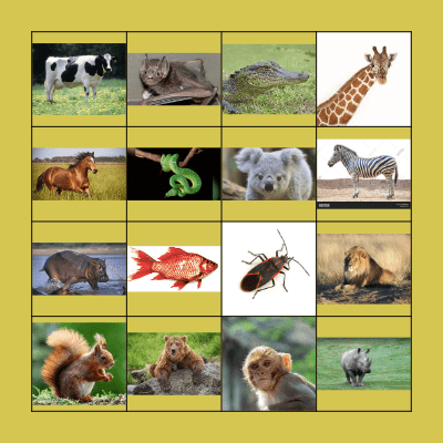 ANIMAL BINGO Card