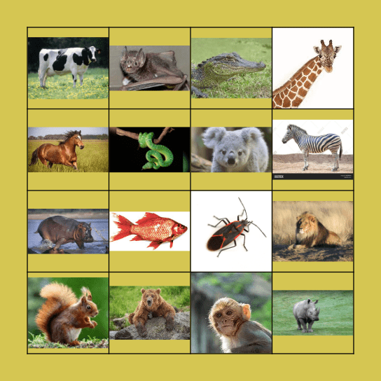 ANIMAL BINGO Card