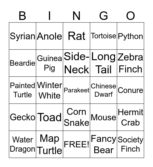 Pet Care Bingo Card