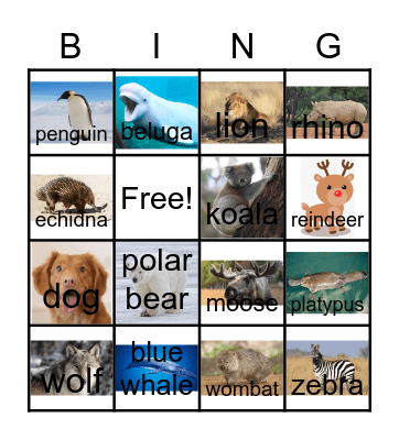 Animal Bingo Card