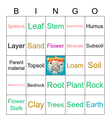 Vocabulary Review: Plants and Soil Layer Bingo Card