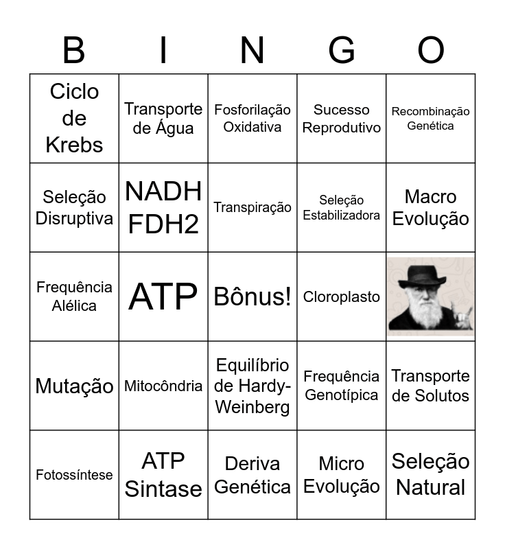 bingo jellystone🌈 descubra o mundo do entretenimento com a serie a odds