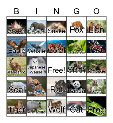 Animal Bingo Card