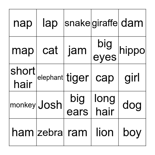 Josh's English Bingo Game Bingo Card