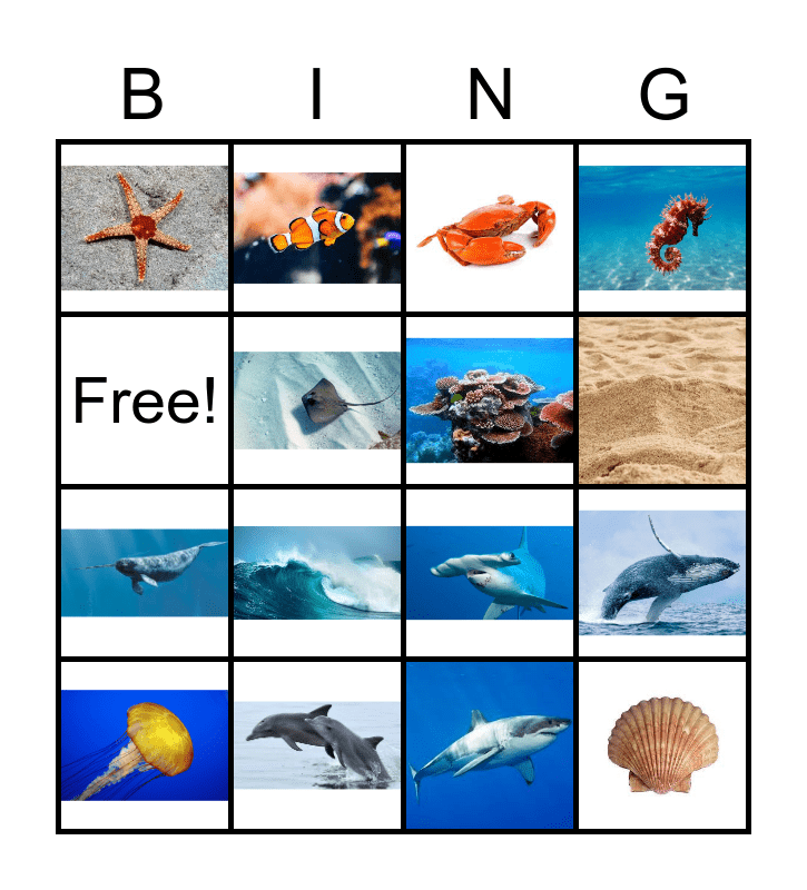 El Oceano Bingo Card