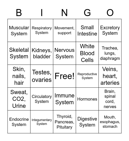 Body Systems  Bingo Card
