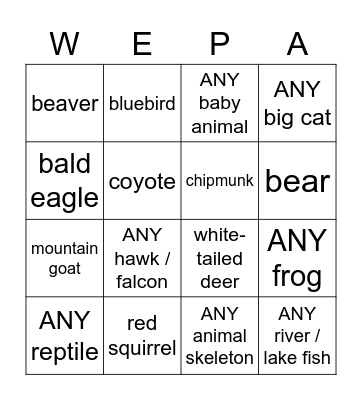 YELLOWSTONE 2021 Bingo Card