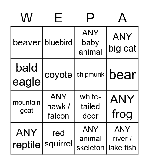 YELLOWSTONE 2021 Bingo Card