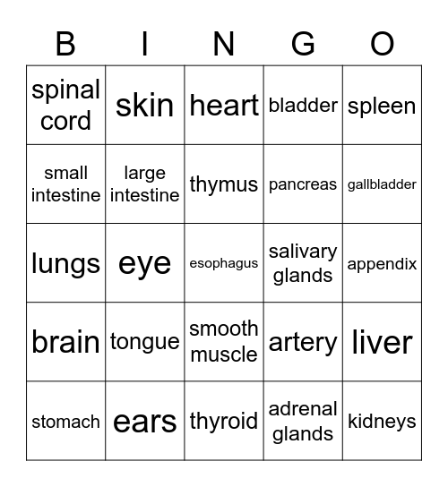 Anatomy Bingo Card