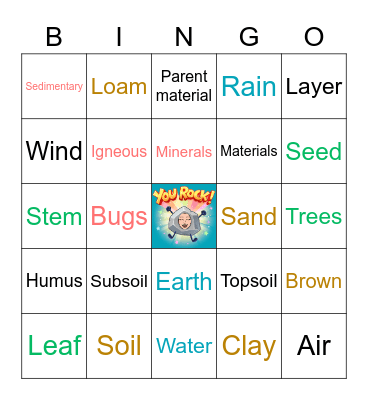 Vocabulary Review: Plants and Soil Layer Bingo Card