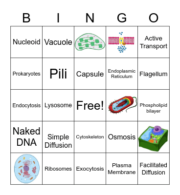 Cells Bingo Card