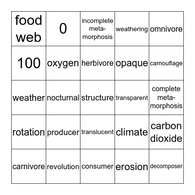 STAAR REVIEW Bingo Card