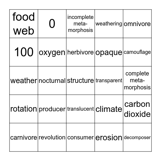 STAAR REVIEW Bingo Card