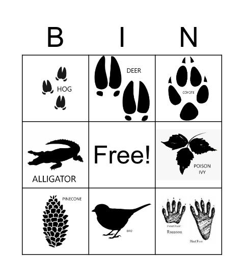 HIKING WILDERNESS BINGO Card