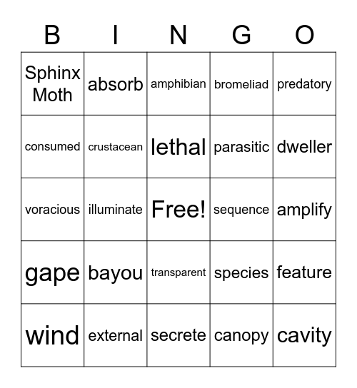 Vocab Bingo Mod2 Bingo Card