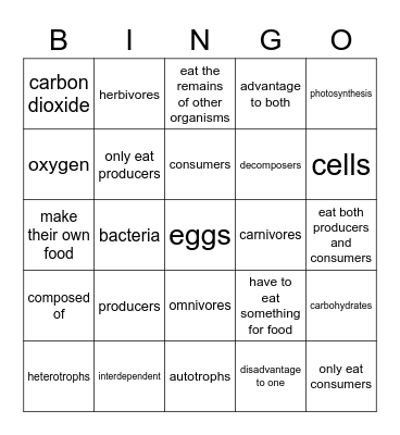 Food Chain & Review Bingo Card