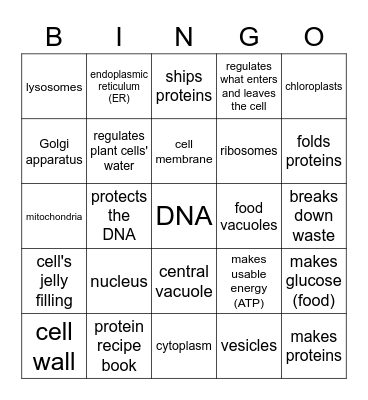 Cell Structures Bingo Card