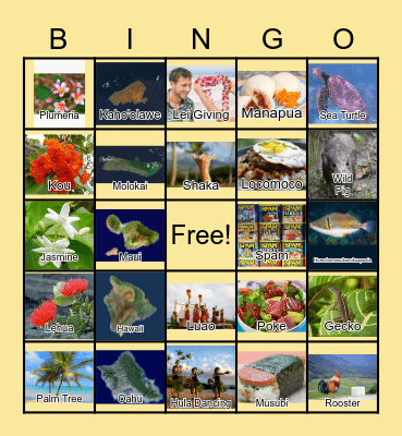 Things in Hawaii Bingo Card