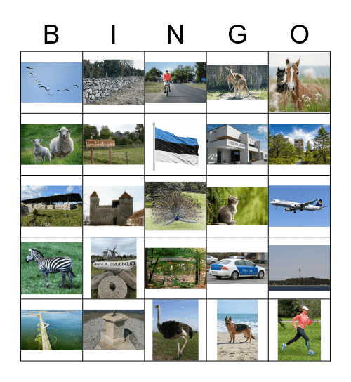 Saaremaa õppereisi bingo Card