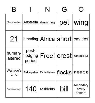 Cacatuidae Bingo Card