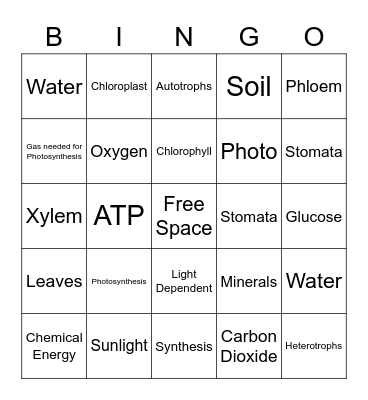 Photosynthesis..Ms.A Bingo Card