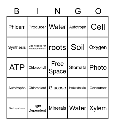 Photosynthesis..Ms.A Bingo Card