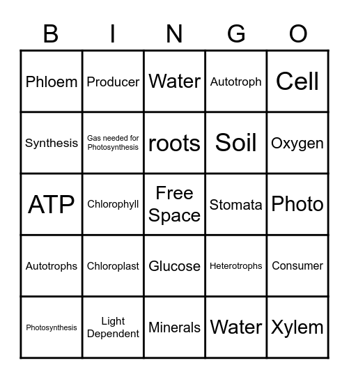 Photosynthesis..Ms.A Bingo Card