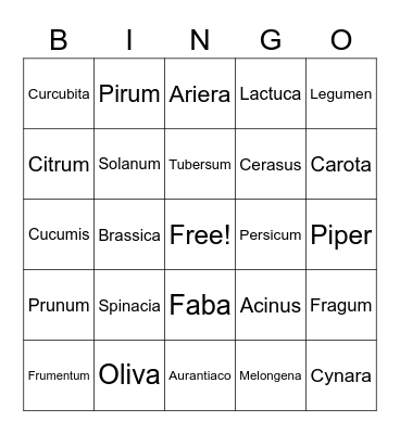 Latin Fruits & Vegetables Bingo Card