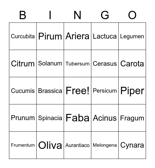 Latin Fruits & Vegetables Bingo Card