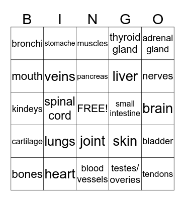 Body Systems Bingo Card