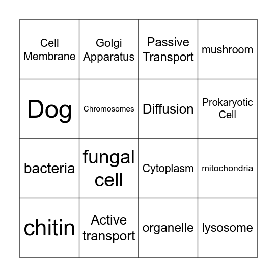 Cell Bingo Card