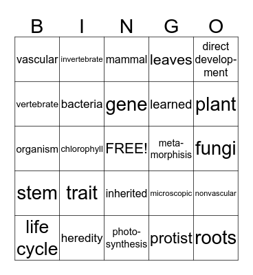 Science Bingo Card