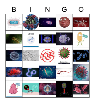What Virus Am I???  Please contact the BINGO BASE as soon as you BINGO either HORIZONTALLY, DIAGONALLY, OR VERTICALLY!!! GOOD LUCK!!! Bingo Card