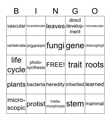 Science Bingo Card