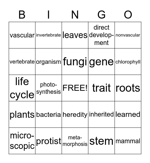 Science Bingo Card