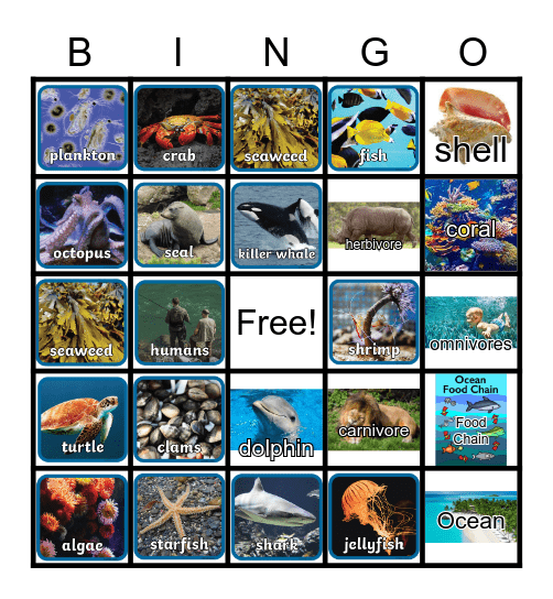 The Food Chain Bingo Card