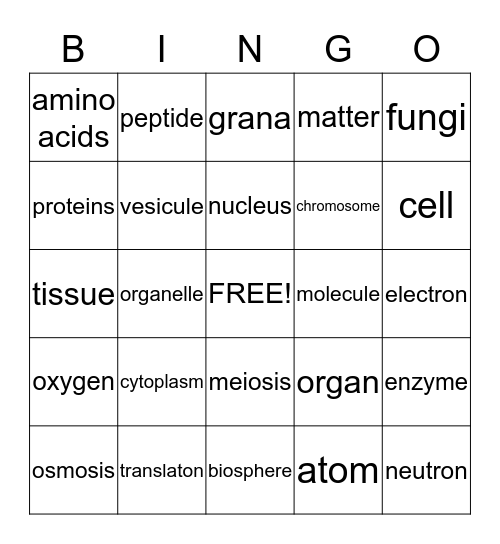 Science Bingo Card