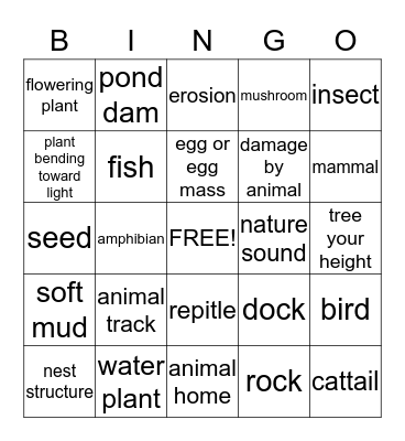 Pond Bingo Card