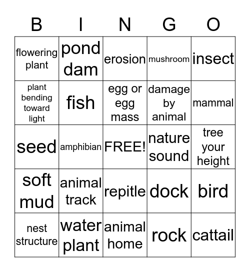 Pond Bingo Card