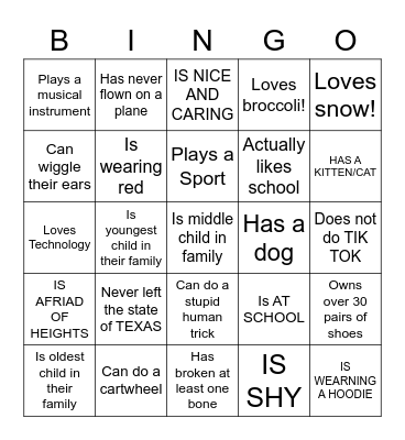 Icebreaker Bingo Card