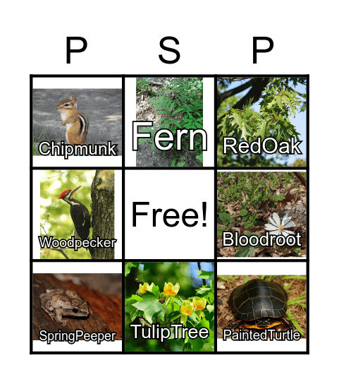 Patapsco Valley State Park BINGO Card