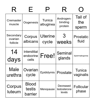 Reproductive System Bingo Card