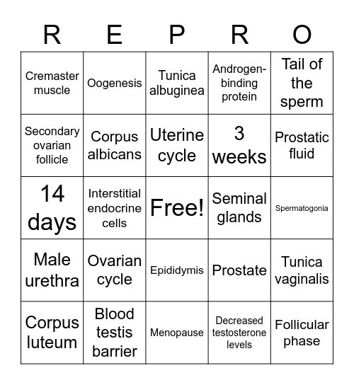 Reproductive System Bingo Card