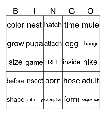 Unit 1.4 Vocabulary Bingo Card