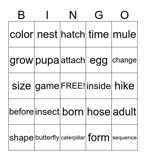 Unit 1.4 Vocabulary Bingo Card