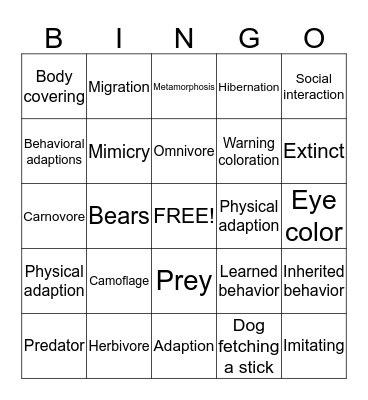 Animal adaption bingo Card
