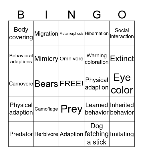 Animal adaption bingo Card