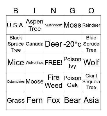 Coniferous  Bingo Card